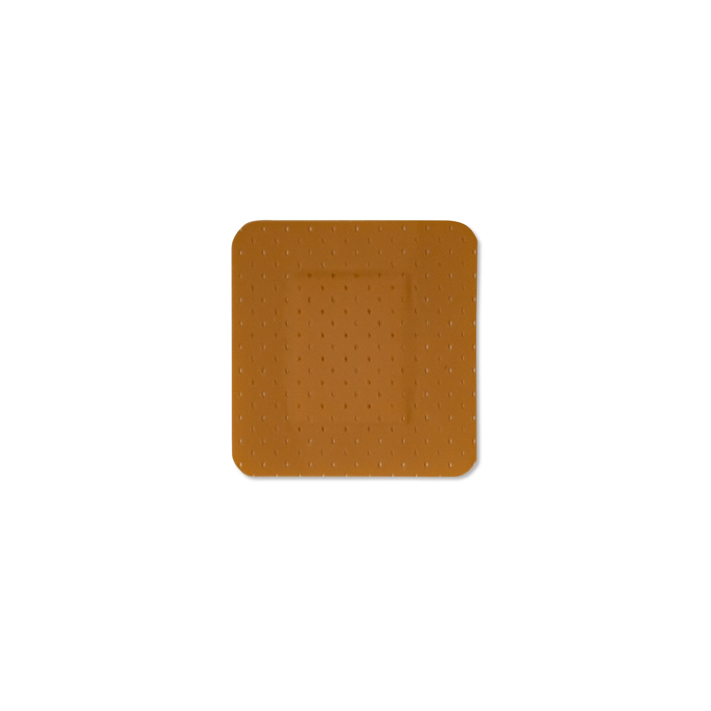 PVS-SPA - CER020_Cerotto_6